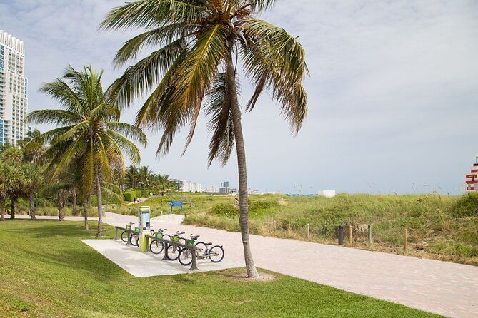 Miami : Highlights Private Bike Tour With A Guide (Private Tour) - Good To Know