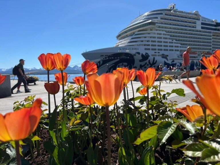 Molde: Atlantic Ocean Road, Kvernes Stave Church & More - FAQ