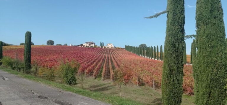 Montefalco and Bevagna Wine Tasting Full-Day Tour - Who Will Love This Tour?