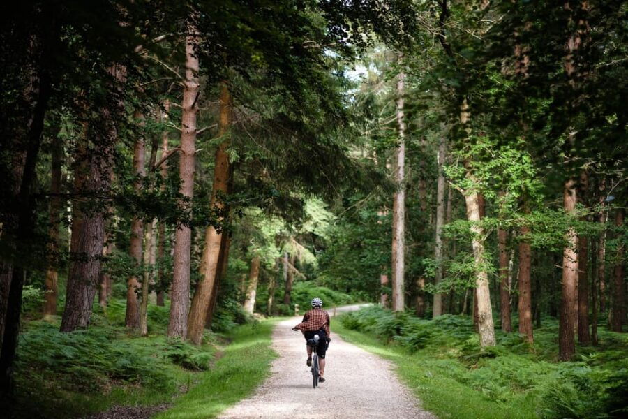 Mountain Bike Trail Discovery Ride Dublin - Why This Tour Is Worth Considering
