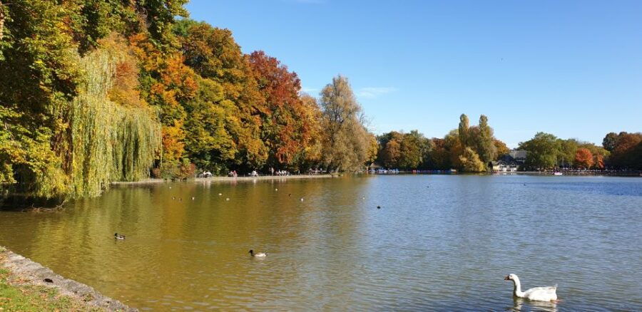 Munich: City Highlights Guided Segway Tour - The Experience: What It Feels Like