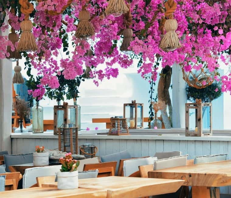 Mykonos: Private Island Tour with Transfers and Greek Meal - Why This Tour is a Great Choice