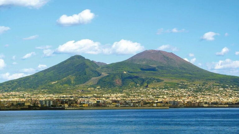 Naples: Vesuvius and Wine Tasting Experience - Vineyards and Wine Tasting on Mount Vesuvius