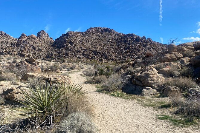 Natural Wonders Walk: Plants, Animals and Rocks of Joshua Tree - Exploring the Itinerary in Detail