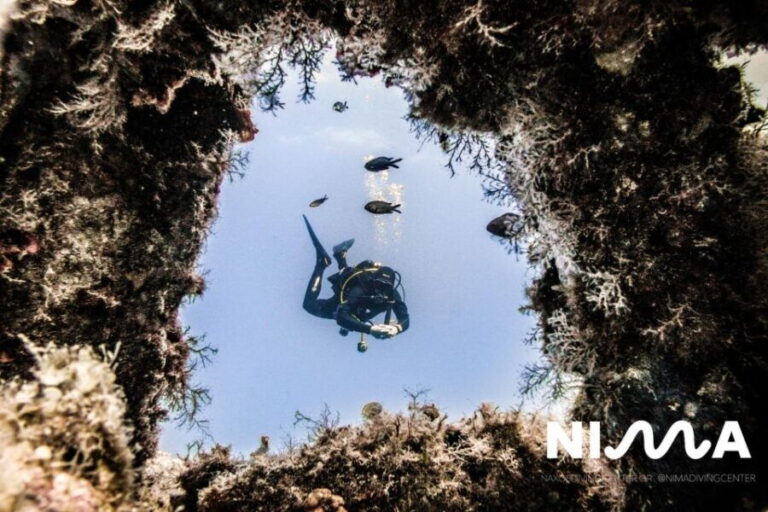 Naxos: Discover Scuba Dive with Nima Dive Center - The Guides and Their Impact