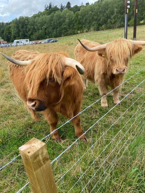 NORTH HIGHLAND TOUR, DUNROBIN CASTLE & MORE FROM INVERGORDON - Exploring the Highland Landscape and Sights