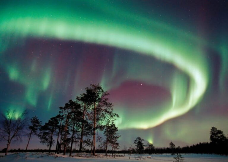 Northern Lights Hunting with Aurora Workshop - Pricing & Value