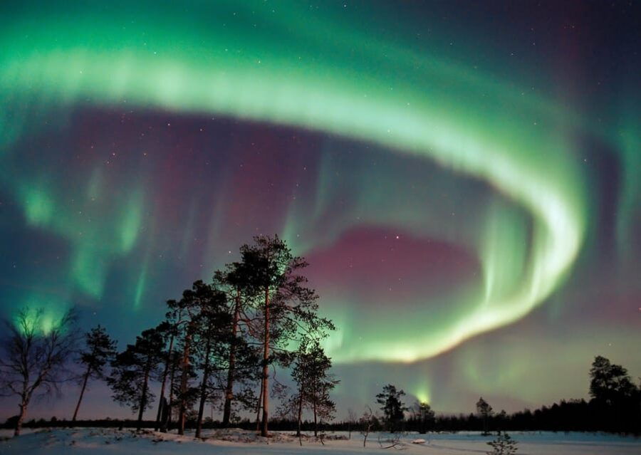 Northern Lights Hunting with Aurora Workshop - Pricing & Value