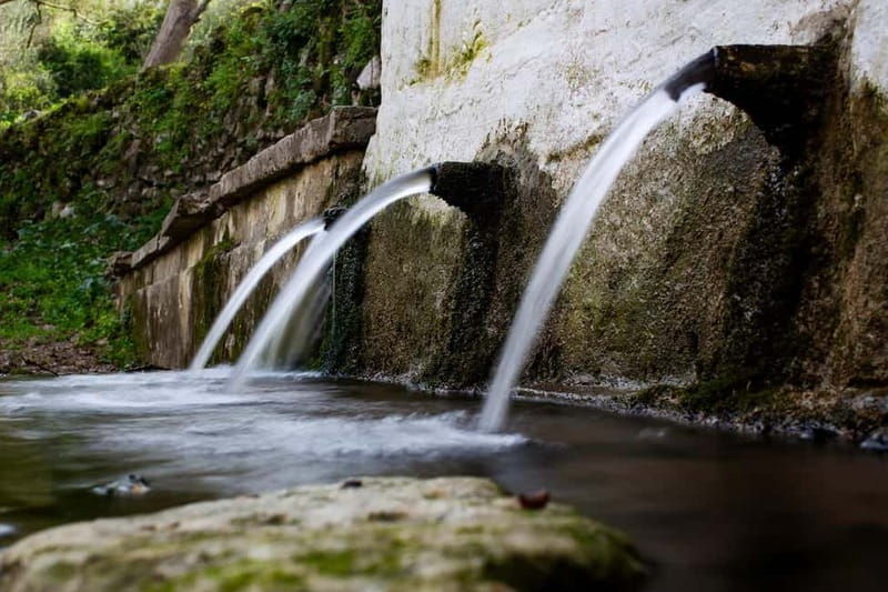 Off-Road: Waterfall, Lake Kournas, Gorges, Preveli Palms - Transportation and Duration