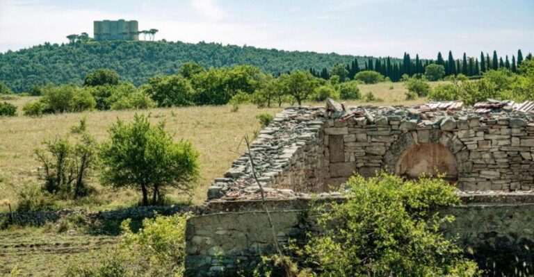 Organized tour from Bari to Castel del Monte - Final Thoughts  