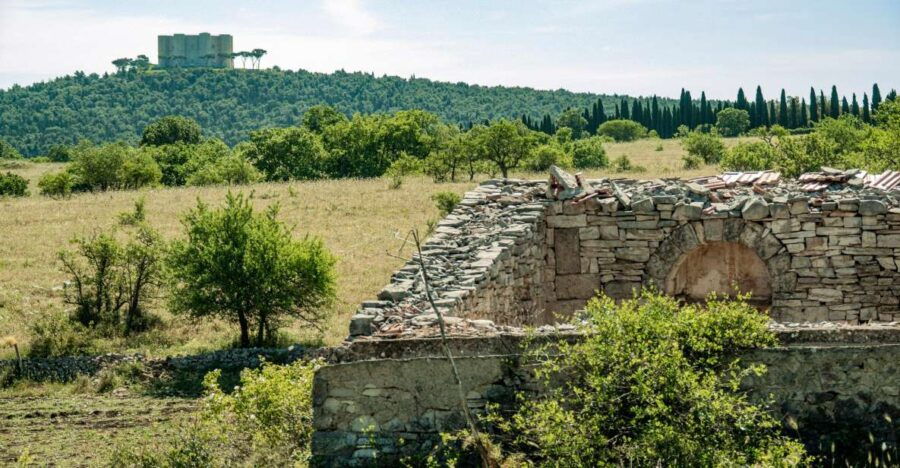 Organized tour from Bari to Castel del Monte - Final Thoughts  