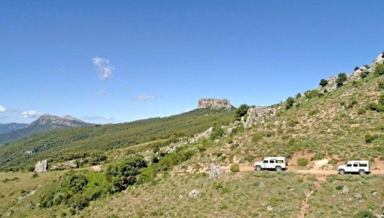 Orgosolo: 4x4 private tour in Supramonte w/ murals visit - Why This Tour Offers Good Value