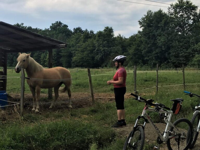 Oroslavje: Oroslavje i Stubike Toplice biciklom - The Sum Up: Who Should Consider This Tour?