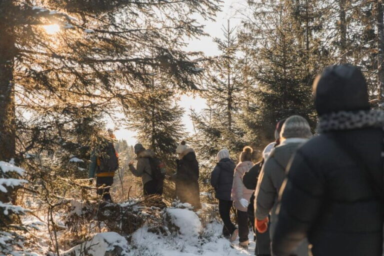 Oslo: Best View of the Oslofjord Winter Edition - The Itinerary in Detail