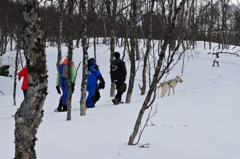 Oslo: Snowshoeing in the Forest with Norwegian BBQ - Why You Should Consider This Tour