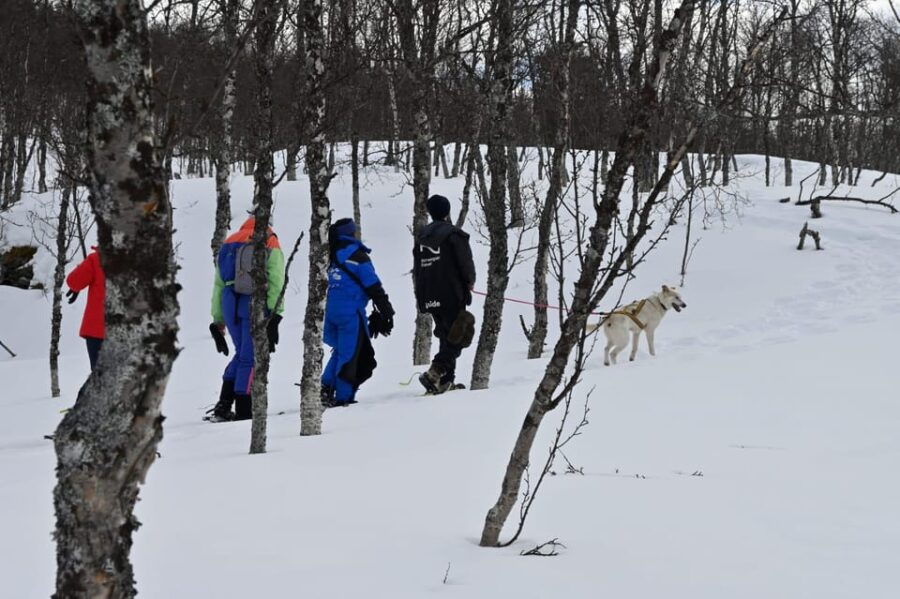 Oslo: Snowshoeing in the Forest with Norwegian BBQ - Why You Should Consider This Tour
