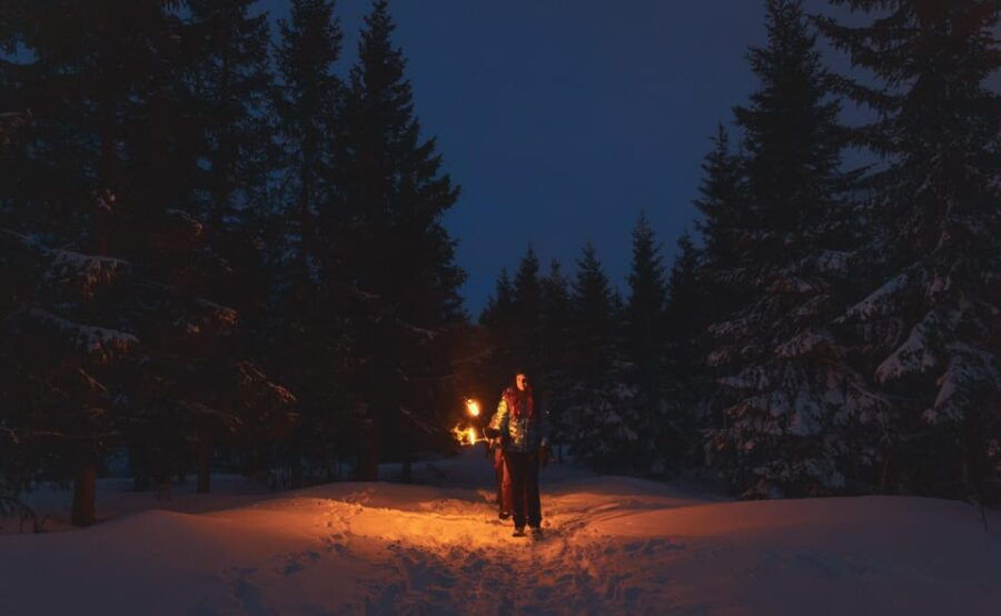 Oslo: Snowy Forest Torchlight Walk with Campfire - The Campfire: Warmth, Cocoa, and Marshmallows