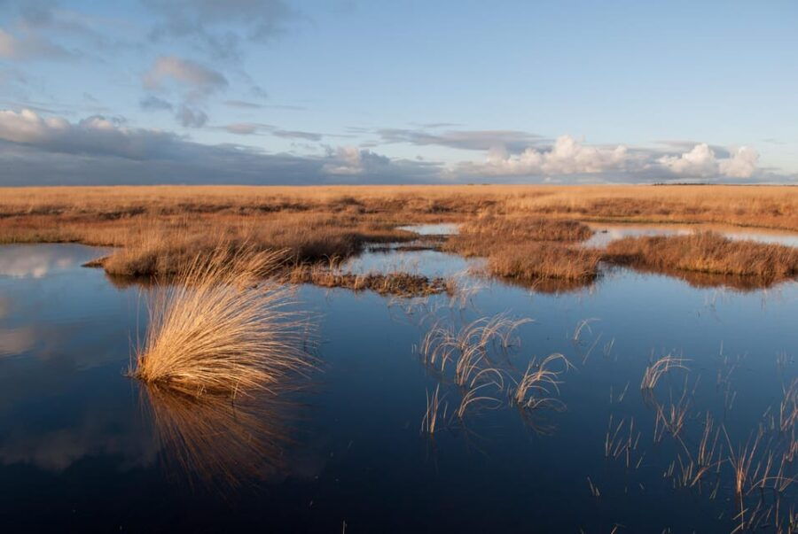 Otterlo: De Hoge Veluwe National Park Entry Ticket - Visiting the Museums: Art and History