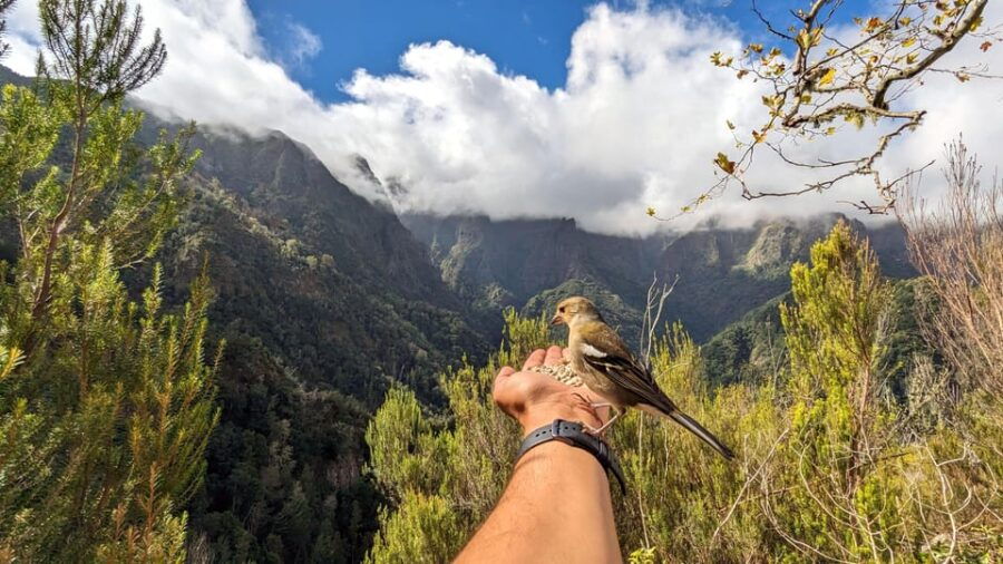Pico do Arieiro in 4h: Immersive Private Experience (Cabrio) - In-Depth Look at the Itinerary