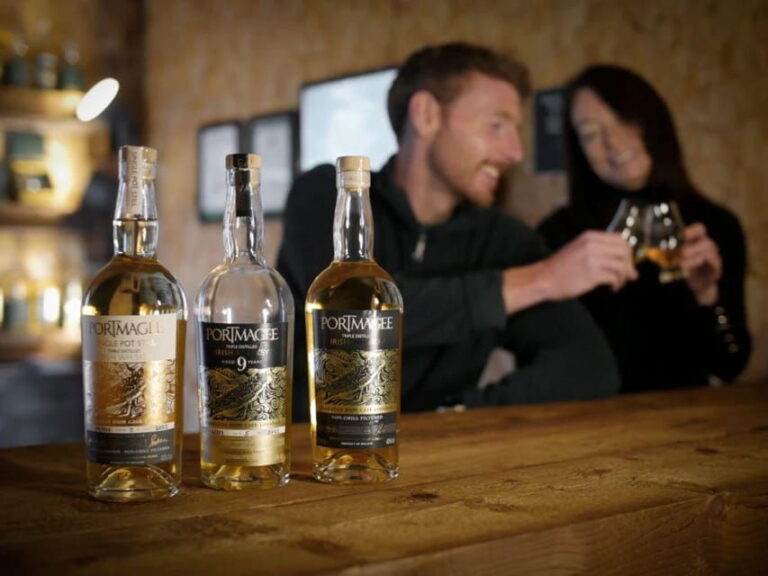 Portmagee: Whiskey Tasting Lesson - Who Will Love This Experience?
