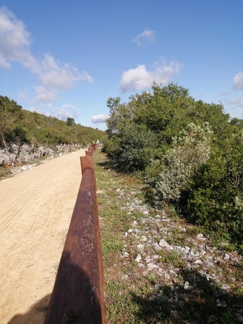 Porto de Mós: "Ecopista" E-Bike Tour - What’s Included and What to Bring