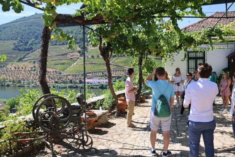 Porto: DOURO VALLEY and AMARANTE City Half-day Tour - Practical Details and What to Expect