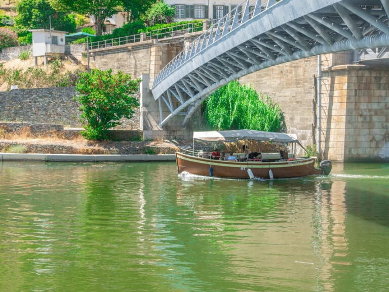 Porto: Douro Valley Private Tour, Tastings, Cruise & Lunch - The Experience: Comfort, Customization, and Authenticity