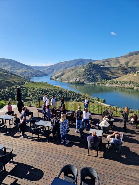 Porto: Douro Valley Tour W/ Wine Taste, Boat Cruise & Lunch - The Winery Experience: Sipping and Learning