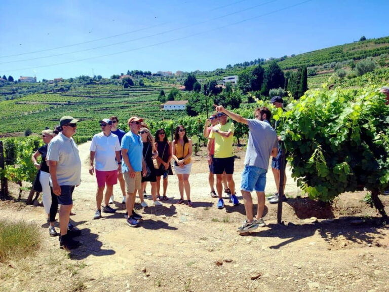 Porto: Douro Valley Vineyards Tour with Lunch & River Cruise - What Travelers Say