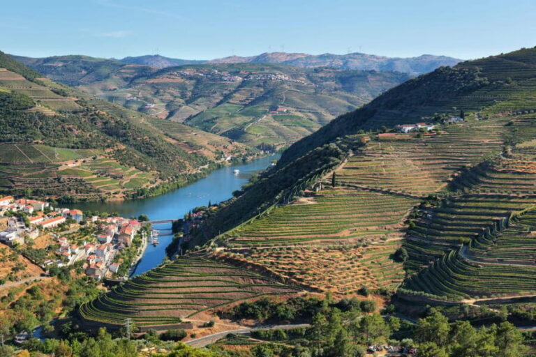 Porto: Douro Valley Wine Tour with a Sommelier & Boat Trip - Authentic Experiences and the Value of This Tour