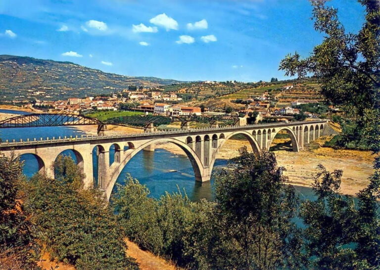 Porto: Douro Valley Wine Tour with Lunch, Tastings & Cruise - Practical Tips for Your Trip