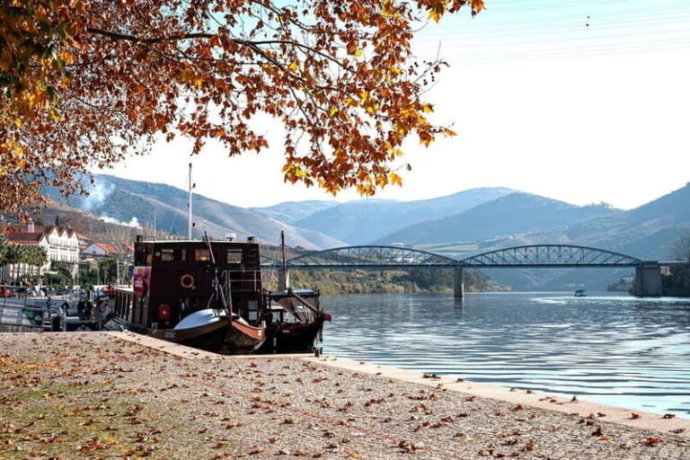 Porto: Douro Wine Tour with Lunch and River Cruise - The Itinerary Breakdown
