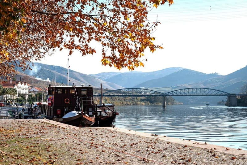 Porto: Douro Wine Tour with Lunch and River Cruise - The Itinerary Breakdown