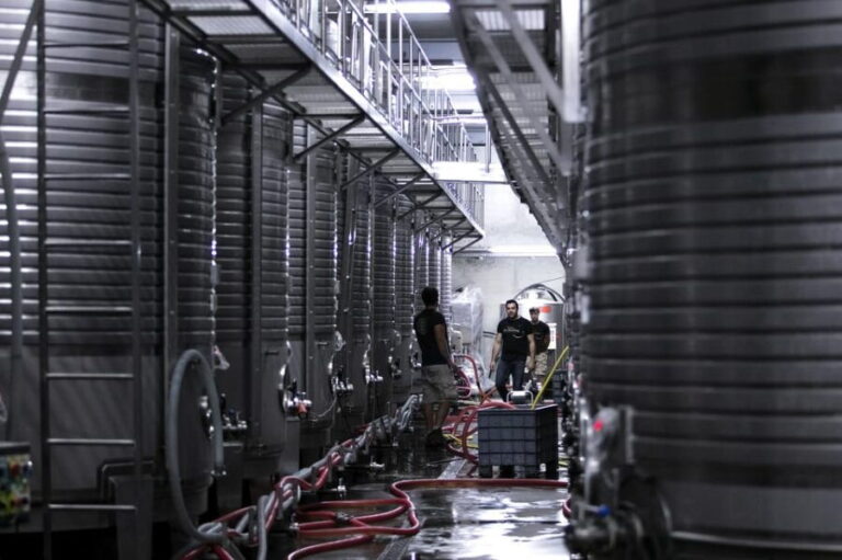 Porto: Private Green Wine Tour: Visit 2 Wine Estates & Lunch - FAQs  