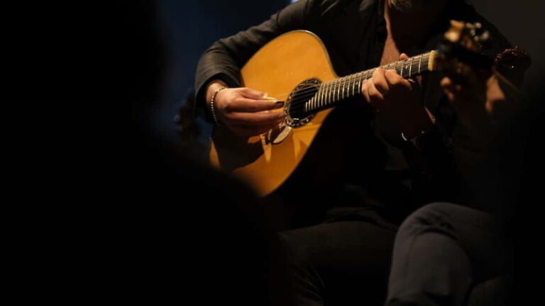 Porto: The highest-rated traditional fado concert (downtown) - Practical Details and Tips