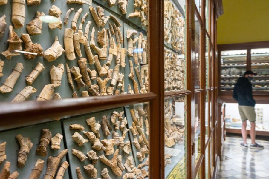 Prehistoric Temples of Malta Tour - Who Will Love This Tour?