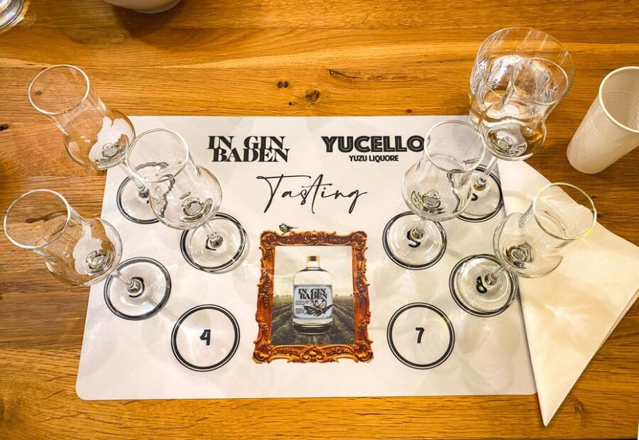 Premium gin tasting: production, variety and tasting - The Value and Practicalities