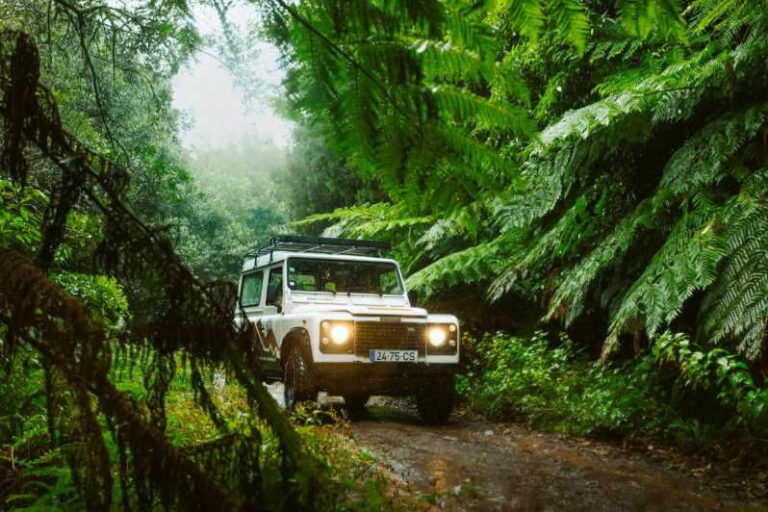Priv. East: 4x4 Tour|Pico do Areeiro|Santana Typical Houses| - Exploring Madeira’s East Side in a 4x4