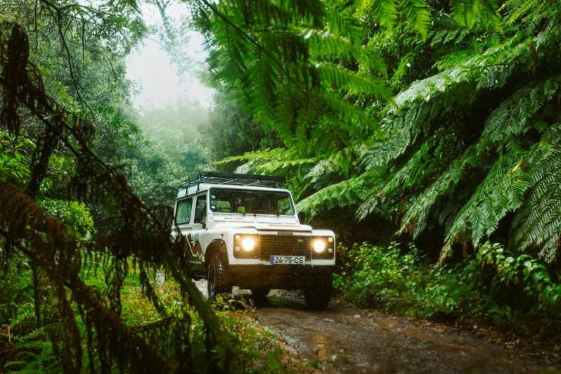 Priv. East: 4x4 Tour|Pico do Areeiro|Santana Typical Houses| - Exploring Madeira’s East Side in a 4x4