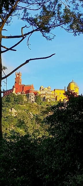 Private 2 Hours Tuktuk Tour to Sintra - Final Words