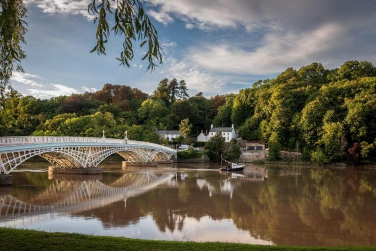 Private Day Tour Wye Valley's Wonders from Cardiff - The Forest of Dean: Nature and Sculpture