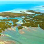 Private Dolphin Playground Safari - Setting the Scene: What to Expect on Your Dolphin Safari