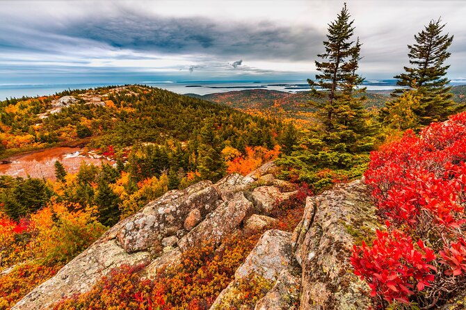 Private Exploration Tour of the Top Spots of Acadia - Authentic Insights from Reviews