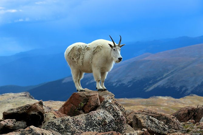 Private Full-Day Mount Blue Sky & Red Rocks Tour from Denver - Logistics and Practical Details