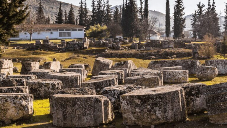 Private Luxury Tour: Nemea's Ancient Sites & Wine Tasting - Who Will Love This Tour?