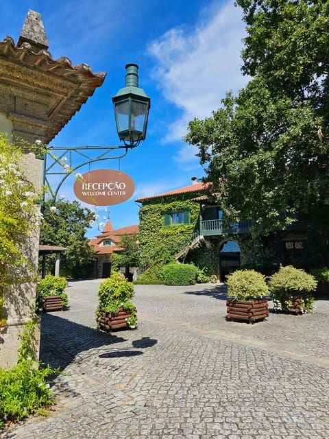 Private Sommelier Tour (Verde e Douro): 3 Wineries and Lunch - The Itinerary Breakdown