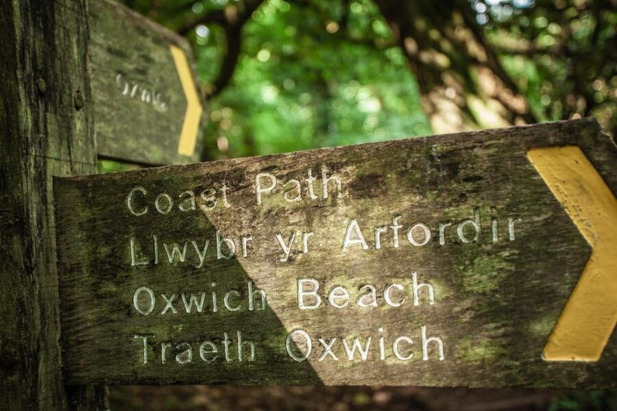 Private Tour: The Gower - Mumbles, Three Cliffs & Worms Head - Why the Price Reflects Value