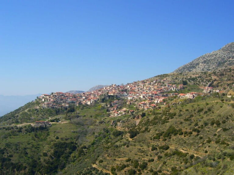 Private Tour To Delfi, Mount Parnassos and Arachova - The Practical Aspects and Value