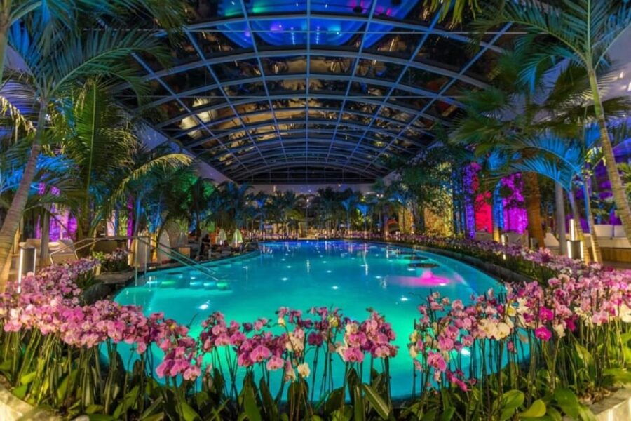 PRIVATE TOUR to Therme Bucuresti  Entrance Ticket included - What to Expect from Your Day at Therme Bucuresti