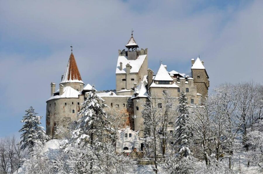 Private tour Transylvania: UNESCO Gems and Legend of Dracula - The Practical Side: Transport, Guides, and Value